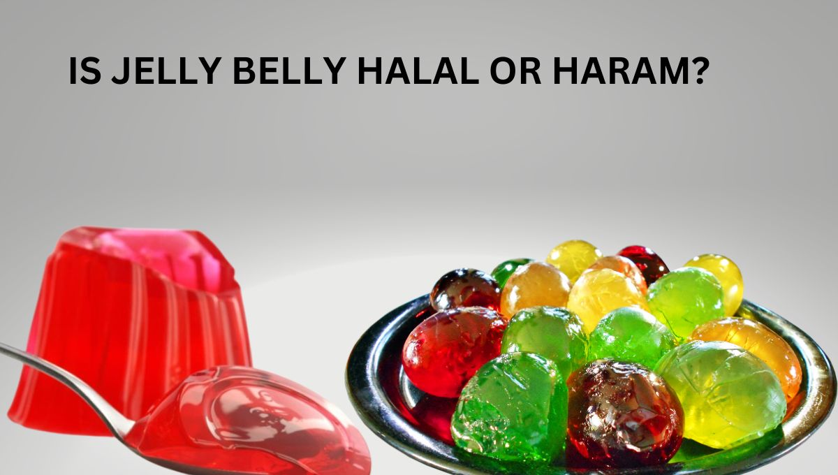 Is Jelly Belly Halal or Haram? Islamic Perspective HalalGaze